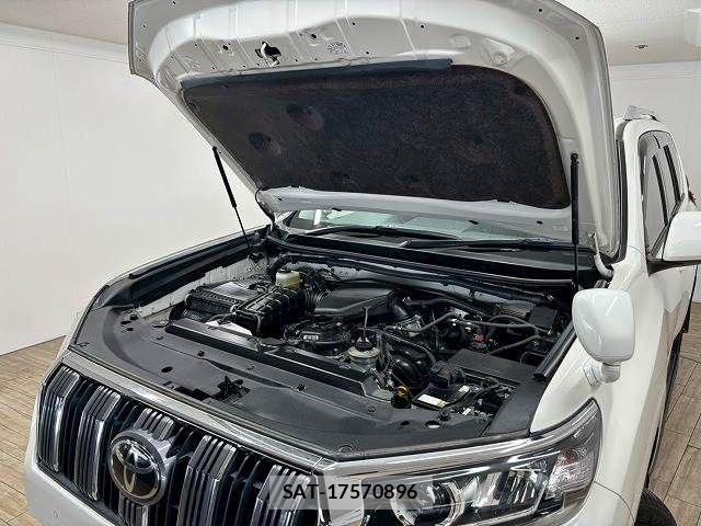 Toyota LAND CRUISER PRADO 2018-11 7501172-17
