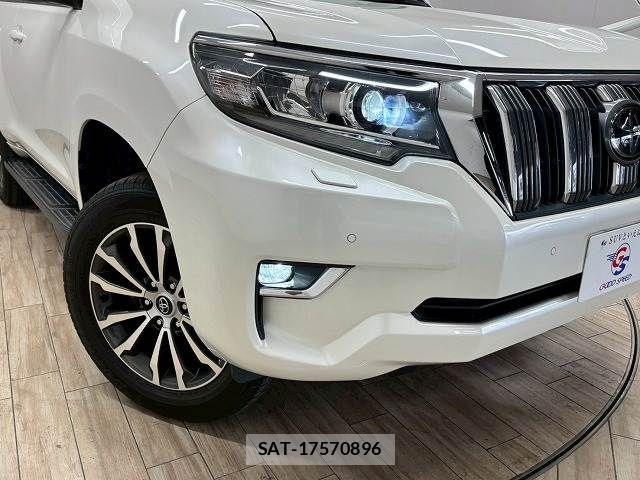 Toyota LAND CRUISER PRADO 2018-11 7501172-19