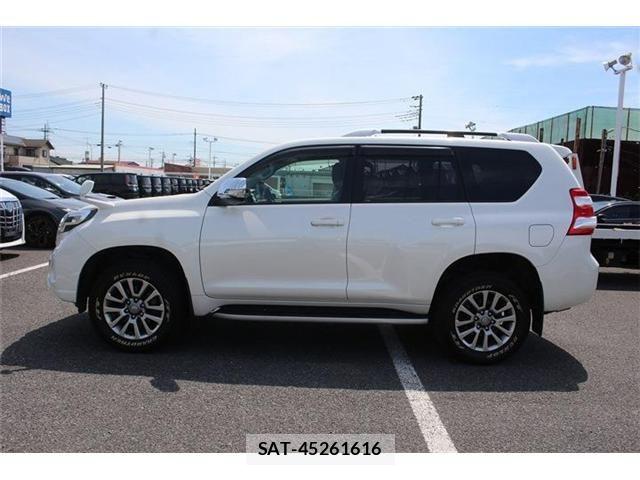 Toyota LAND CRUISER PRADO 2017-01 7501178-12
