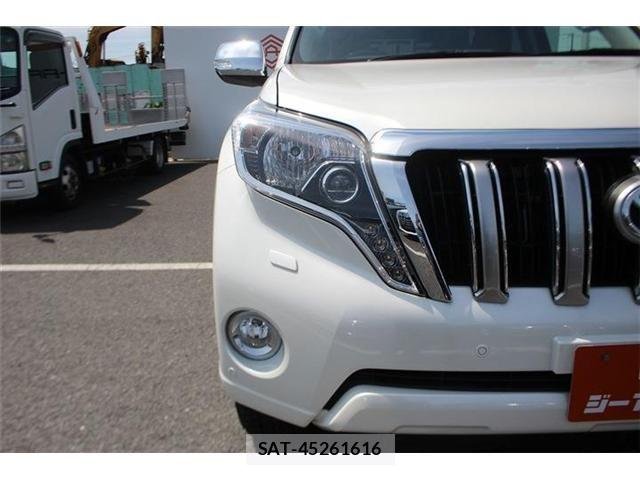 Toyota LAND CRUISER PRADO 2017-01 7501178-23