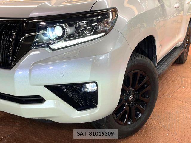 Toyota LAND CRUISER PRADO 2022-04 7562309-13