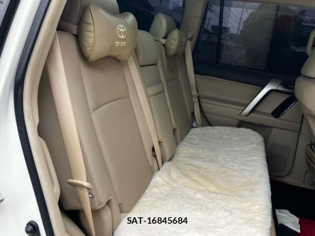 Toyota LAND CRUISER PRADO 2019-11 7617454-14