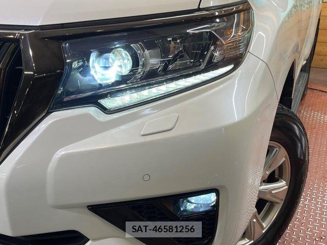 Toyota LAND CRUISER PRADO 2020-11 7724845-11