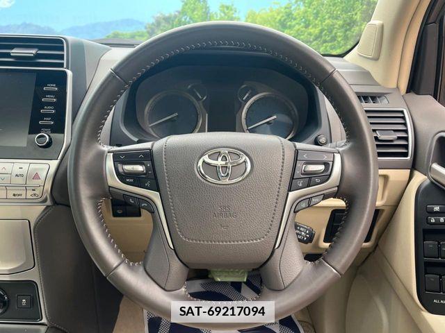 Toyota LAND CRUISER PRADO 2023-02 316596-10