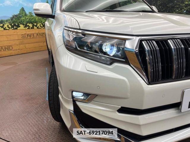 Toyota LAND CRUISER PRADO 2023-02 316596-11