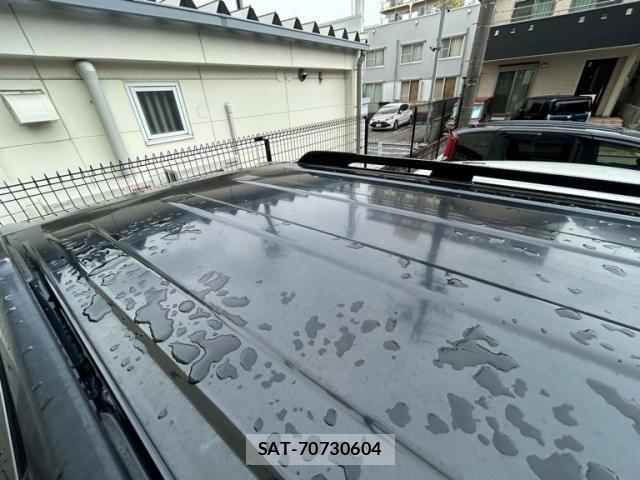Toyota LAND CRUISER PRADO 2009-11 7877198-12