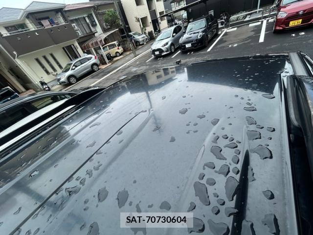 Toyota LAND CRUISER PRADO 2009-11 7877198-13