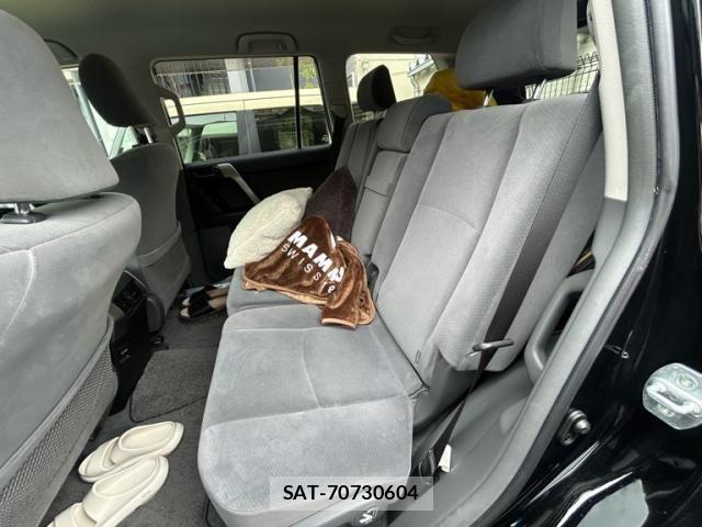Toyota LAND CRUISER PRADO 2009-11 7877198-15