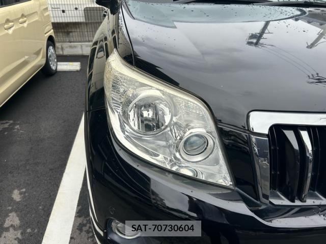 Toyota LAND CRUISER PRADO 2009-11 7877198-3