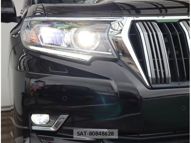 Toyota LAND CRUISER PRADO 2019-08 8036258-17