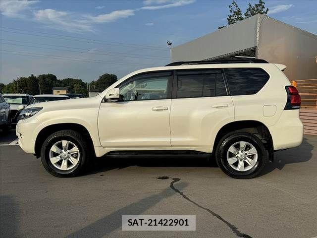Toyota LAND CRUISER PRADO 2021-08 8099983-10