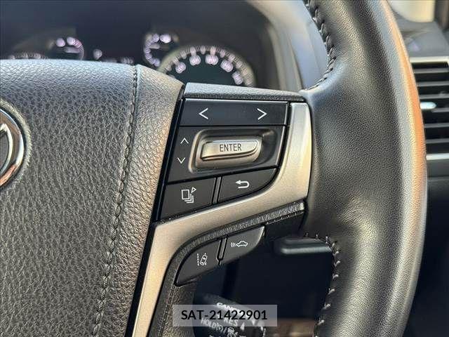 Toyota LAND CRUISER PRADO 2021-08 8099983-27