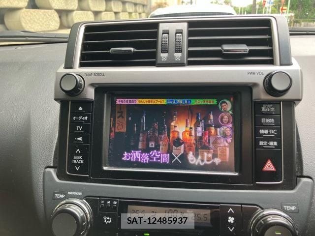 Toyota LAND CRUISER PRADO 2015-10 8100005-17