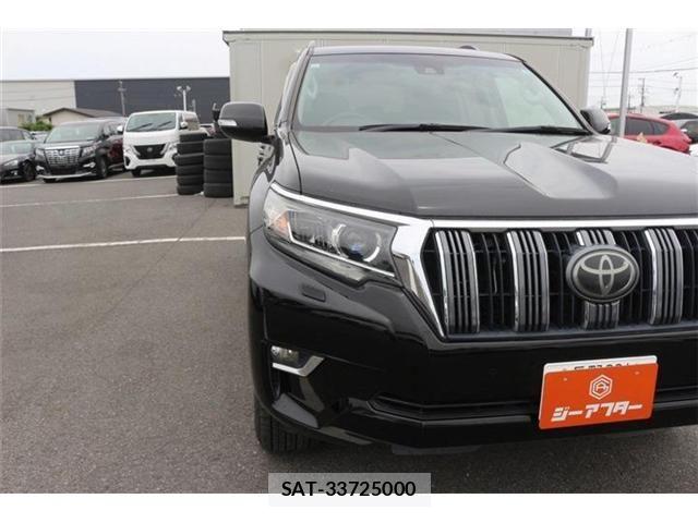 Toyota LAND CRUISER PRADO 2017-10 8100000-12