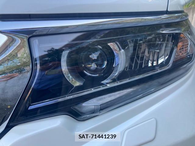 Toyota LAND CRUISER PRADO 2022-06 8099979-4