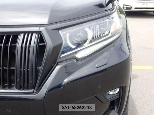 Toyota LAND CRUISER PRADO 2019-08 8099984-11