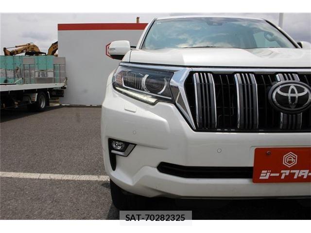 Toyota LAND CRUISER PRADO 2022-03 8099999-28