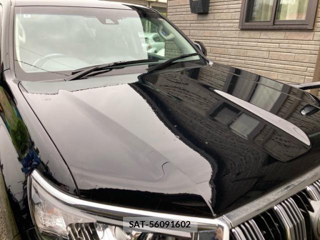 Toyota LAND CRUISER PRADO 2018-05 8130914-4