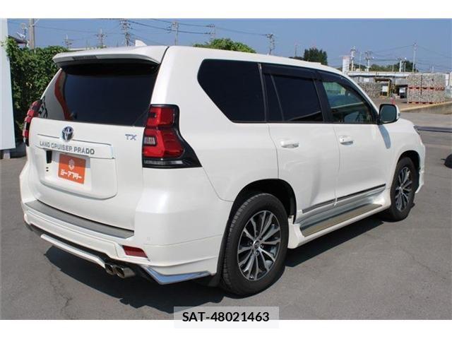 Toyota LAND CRUISER PRADO 2018-09 8208191-13