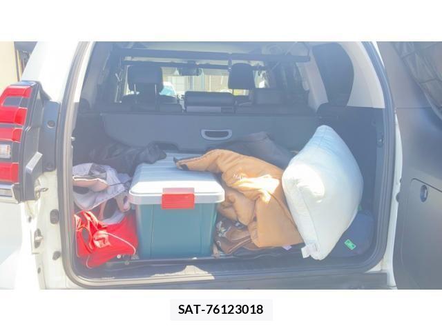Toyota LAND CRUISER PRADO 2019-02 8562338-23