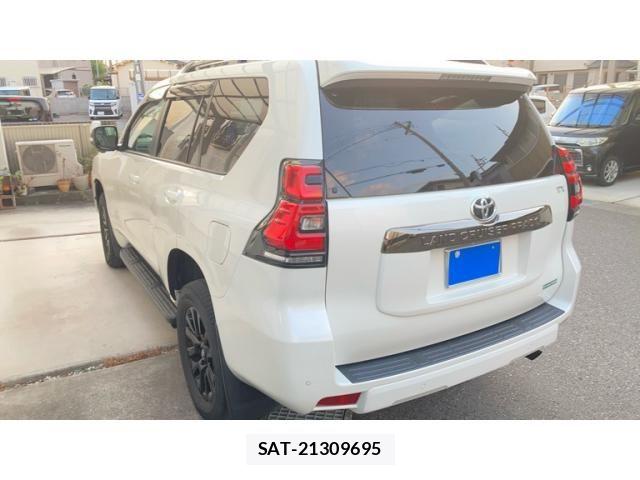 Toyota LAND CRUISER PRADO 2021-05 8666350-20