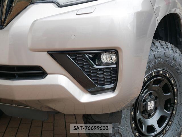 Toyota LAND CRUISER PRADO 2022-08 8666343-5