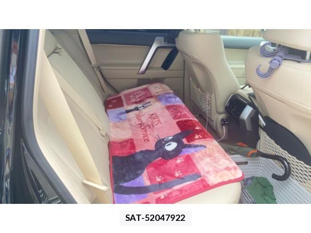 Toyota LAND CRUISER PRADO 2022-07 8659779-16