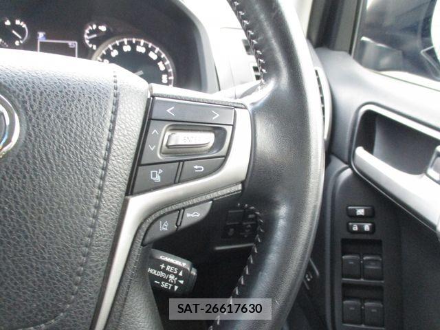 Toyota LAND CRUISER PRADO 2019-10 8659768-19