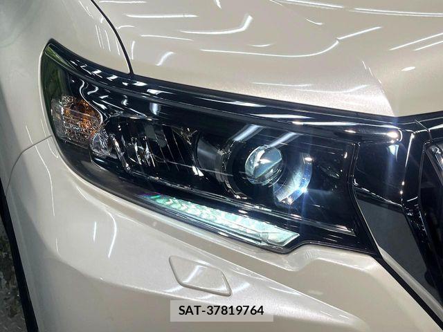 Toyota LAND CRUISER PRADO 2023-10 8743141-12