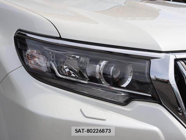Toyota LAND CRUISER PRADO 2019-01 8743151-18