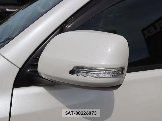 Toyota LAND CRUISER PRADO 2019-01 8743151-19