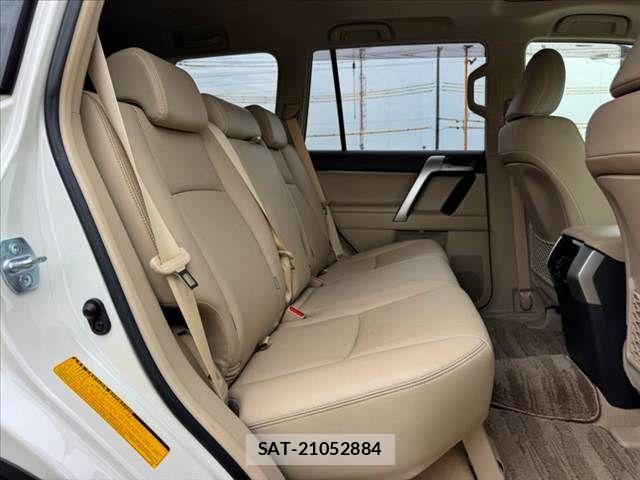 Toyota LAND CRUISER PRADO 2018-08 8743165-19