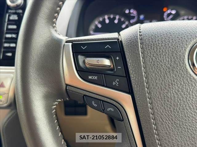 Toyota LAND CRUISER PRADO 2018-08 8743165-26