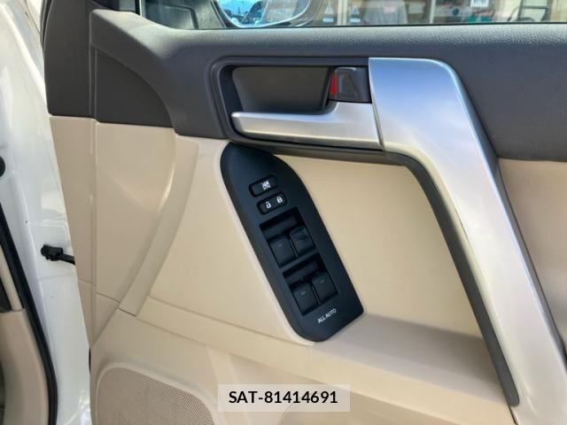 Toyota LAND CRUISER PRADO 2020-11 8743163-10