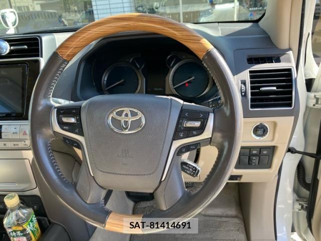 Toyota LAND CRUISER PRADO 2020-11 8743163-12
