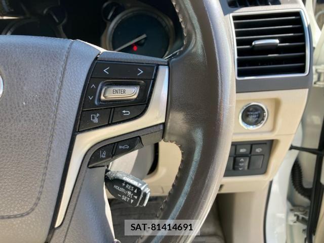 Toyota LAND CRUISER PRADO 2020-11 8743163-13