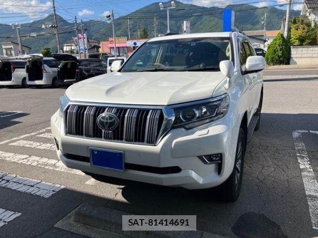 Toyota LAND CRUISER PRADO 2020-11 8743163-1