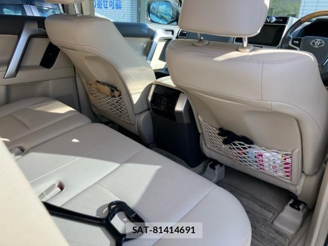 Toyota LAND CRUISER PRADO 2020-11 8743163-20