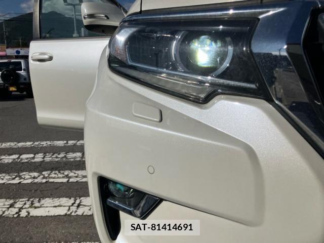 Toyota LAND CRUISER PRADO 2020-11 8743163-28