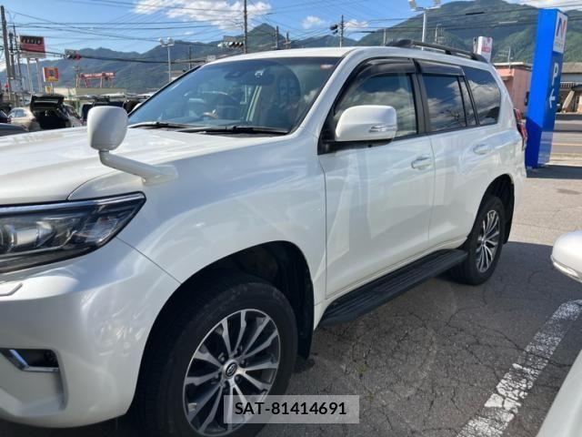 Toyota LAND CRUISER PRADO 2020-11 8743163-7