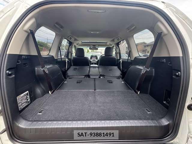 Toyota LAND CRUISER PRADO 2019-03 8743166-12