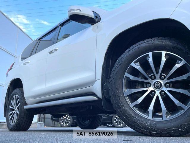 Toyota LAND CRUISER PRADO 2020-07 8743153-12