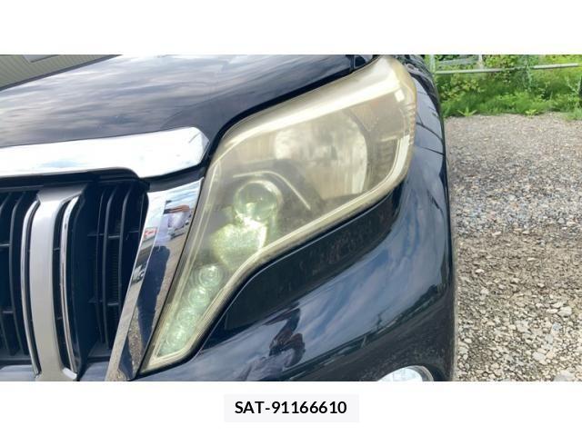 Toyota LAND CRUISER PRADO 2017-05 8743202-12
