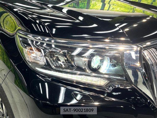 Toyota LAND CRUISER PRADO 2023-10 8743142-12