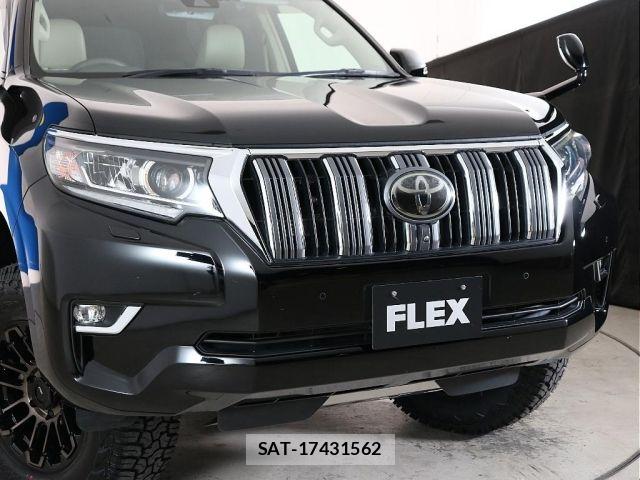 Toyota LAND CRUISER PRADO 2018-01 8743145-15