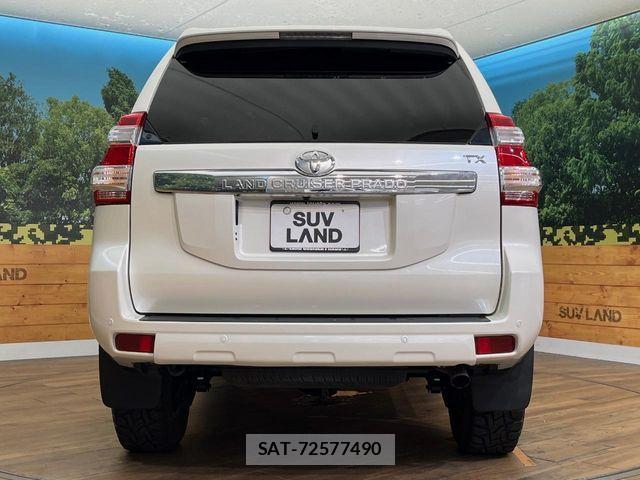 Toyota LAND CRUISER PRADO 2017-07 8743192-15