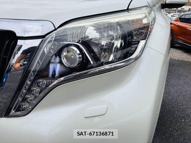 Toyota LAND CRUISER PRADO 2016-06 8743194-11