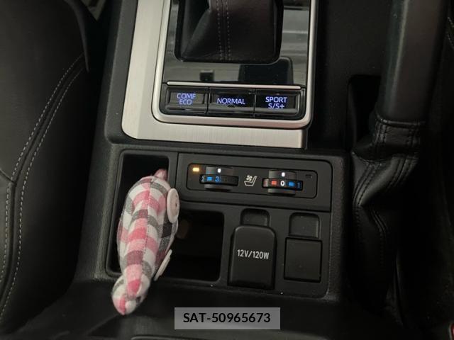 Toyota LAND CRUISER PRADO 2018-02 8743164-22