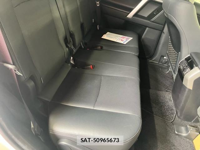 Toyota LAND CRUISER PRADO 2018-02 8743164-25