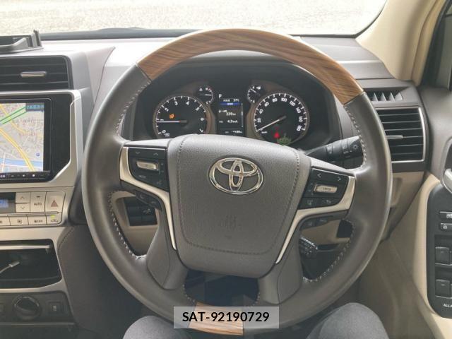Toyota LAND CRUISER PRADO 2023-10 8743149-20